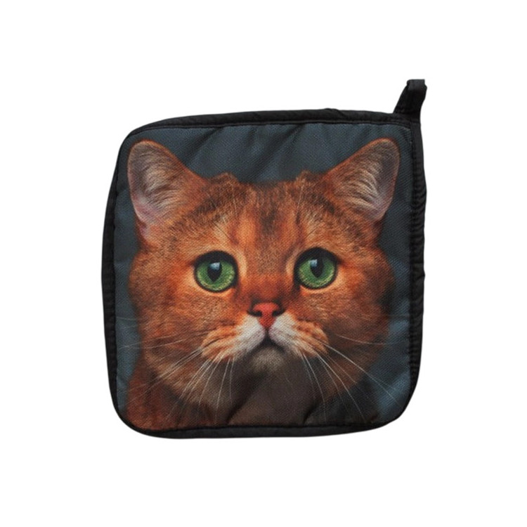 Pannenlap met poes | Geharo