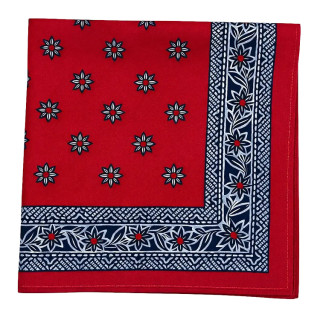 Kleine rode boeren zakdoeken 43 x 43 cm
